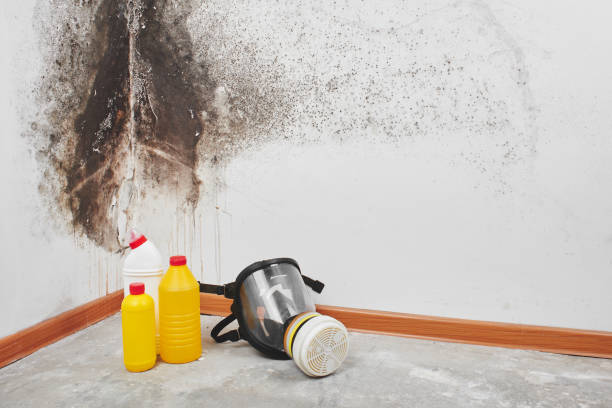 Best Office Mold Removal Services  in Gettysburg, PA