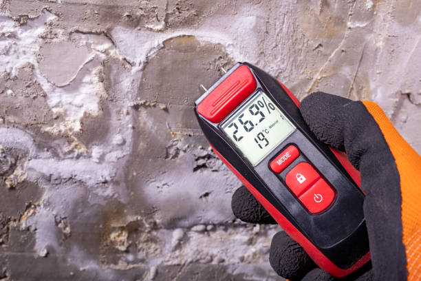 Best Office Mold Removal Services  in Gettysburg, PA