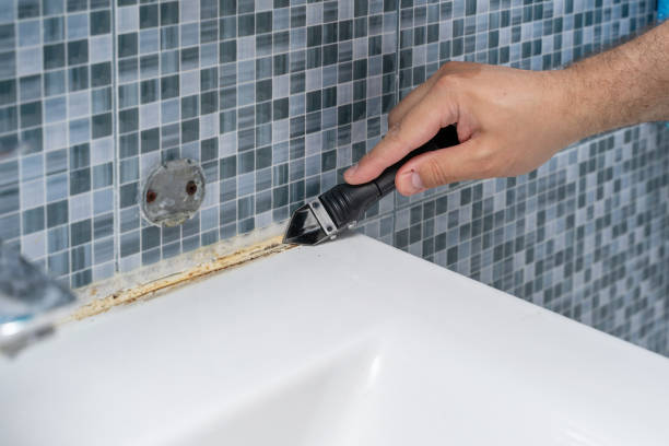 Best Fast Mold Removal  in Gettysburg, PA